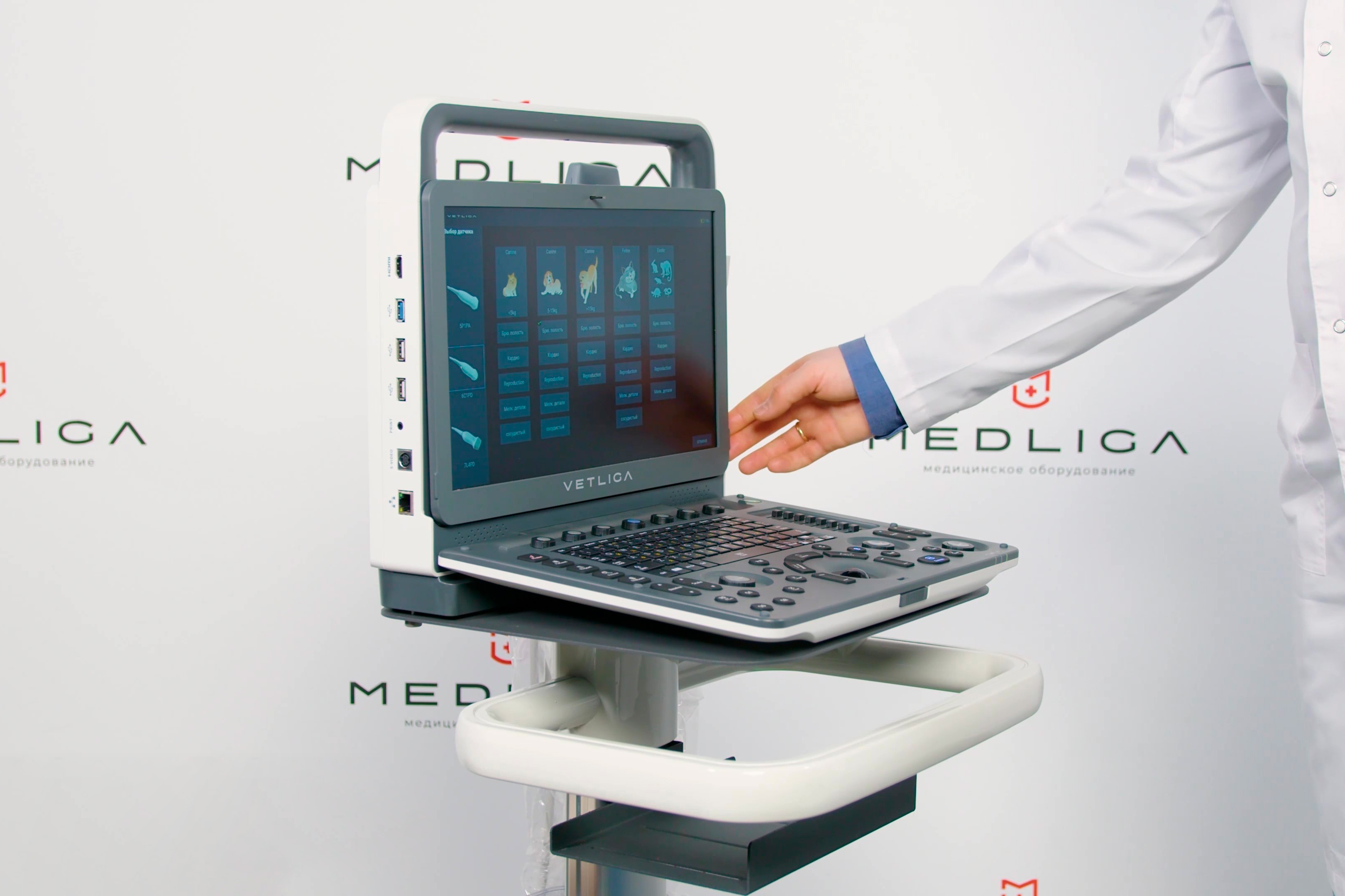 Видеообзор портативного УЗ сканера для ветеринарии VETLIGA M30Vet