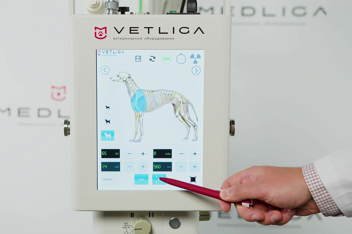 Видеообзор ветеринарного рентгена VETLIGA PR-5 Vet