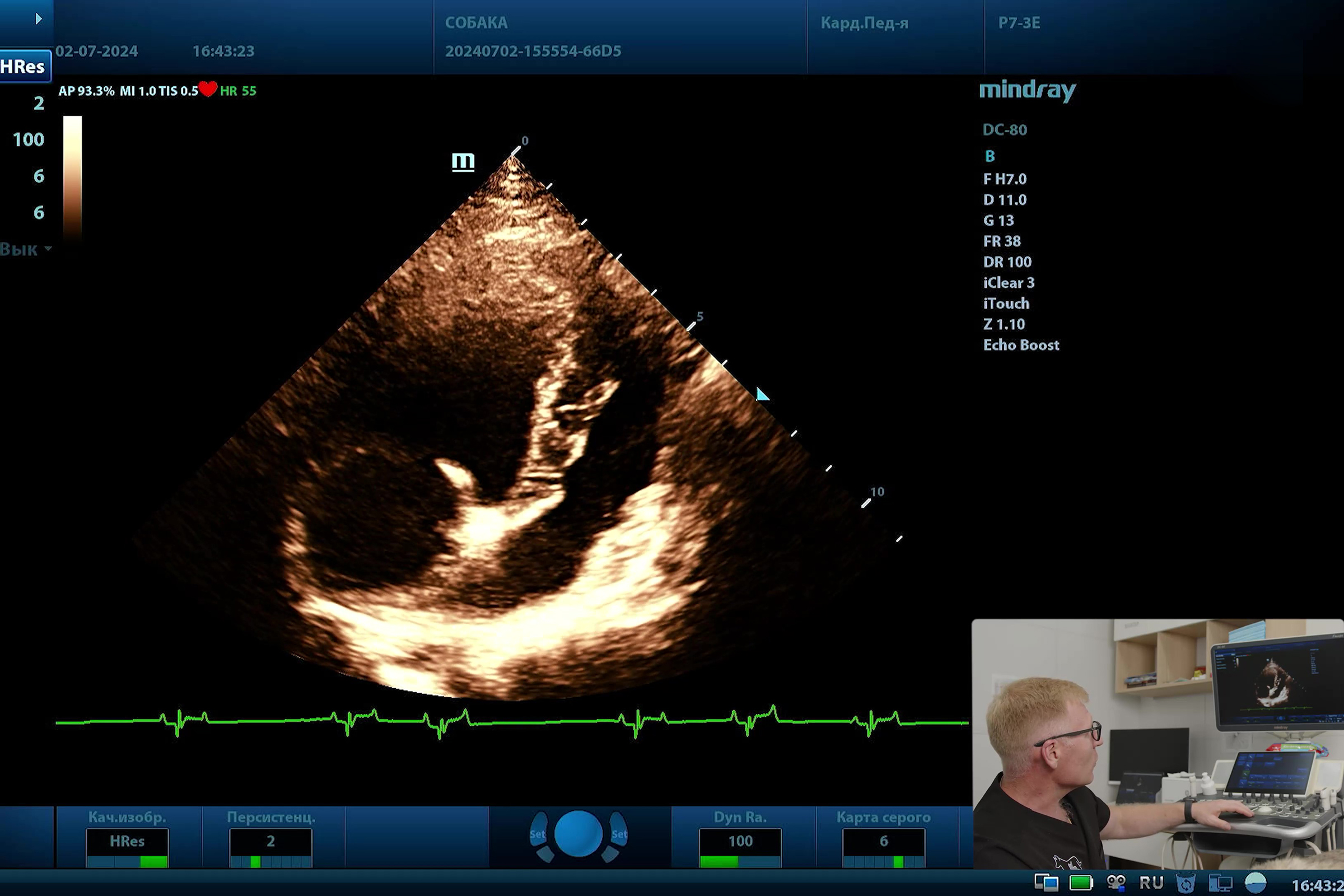 Введение в эхокардиографию животных