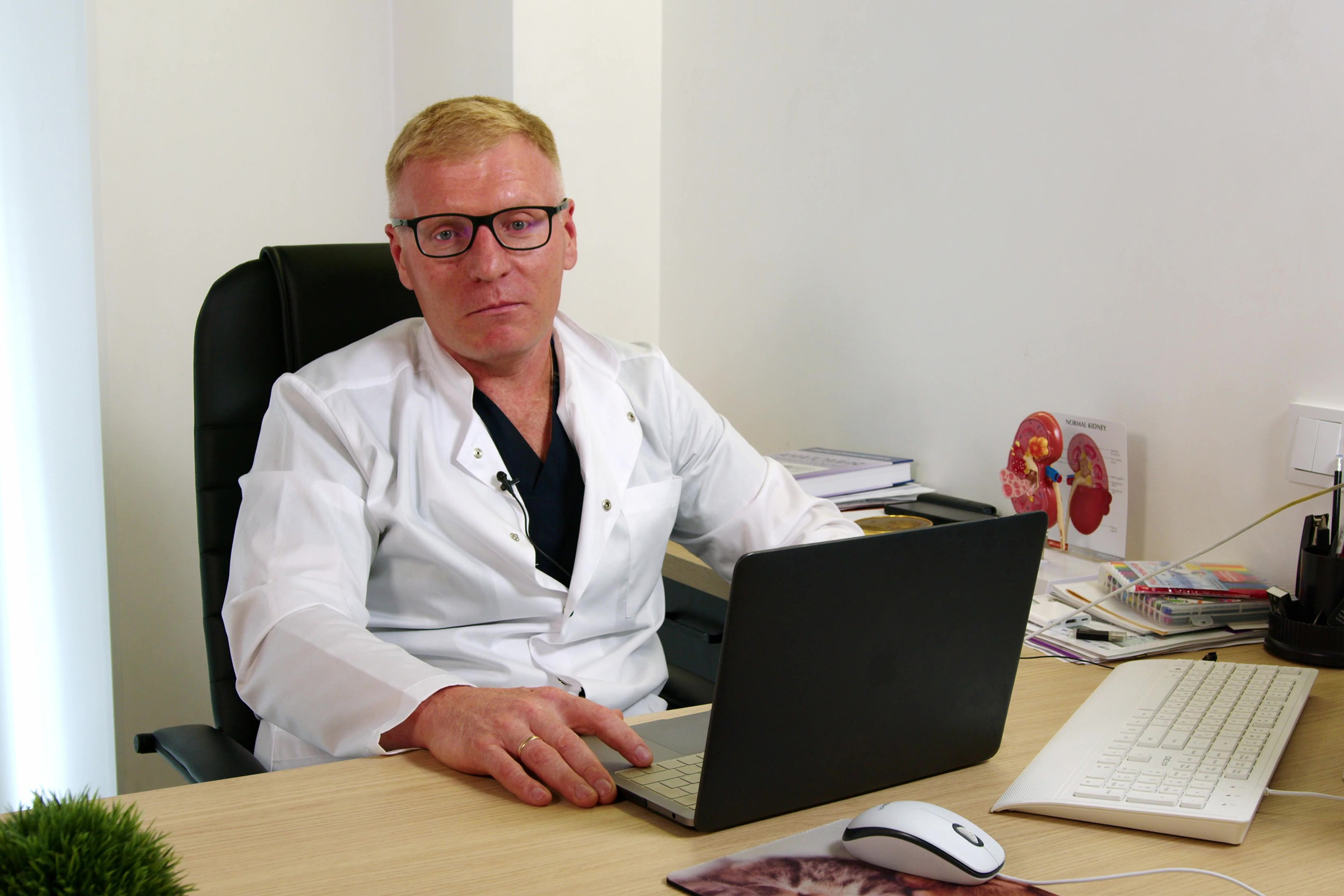 Протокол УЗИ брюшной полости у мелких животных: как составить отчет?