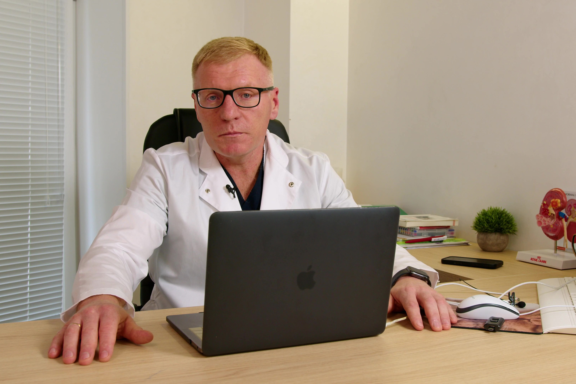 УЗИ репродуктивной системы самцов: практическое руководство