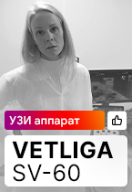 Отзыв на работу УЗ аппарата VETLIGA SV-60 при проведении биопсии почки
