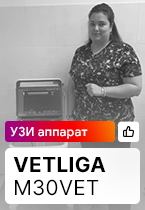 Отзыв на ветеринарный УЗ аппарат VETLIGA M30 Vet (г. Санкт-Петербург)
