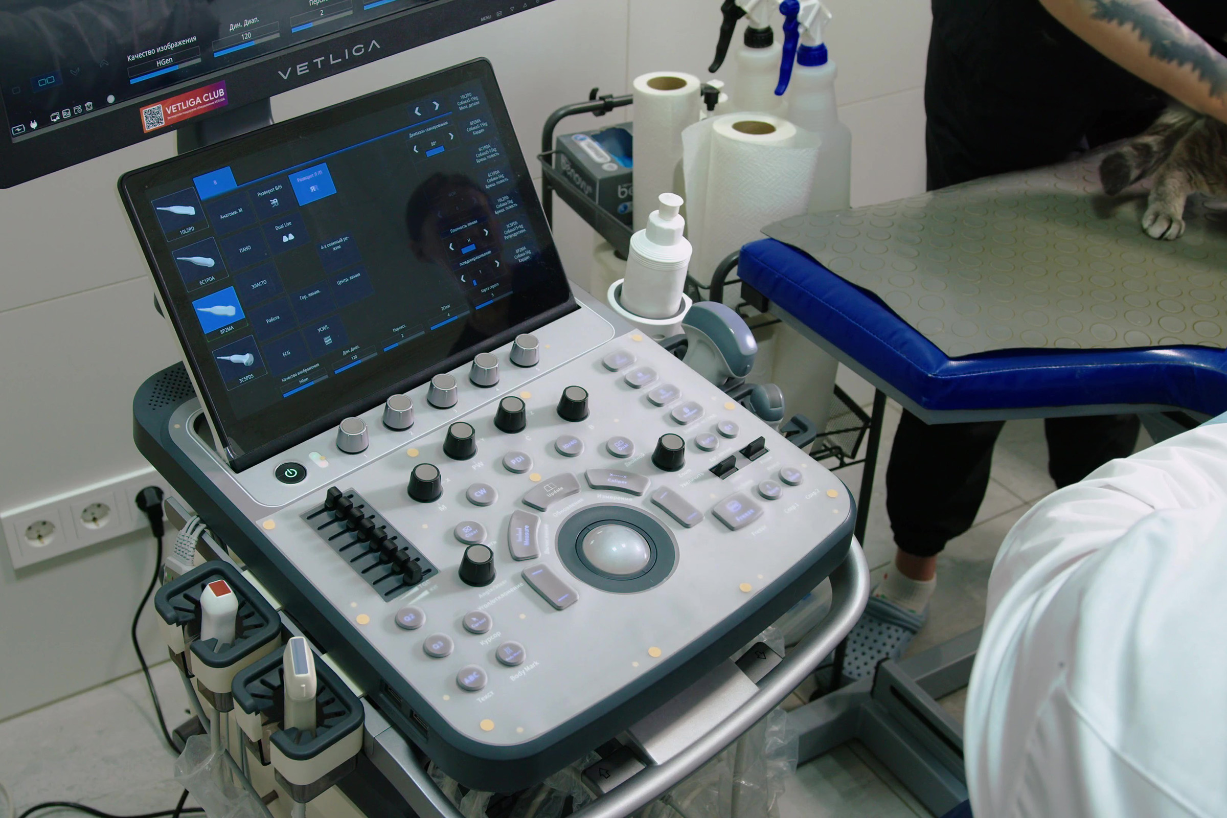 Эхокардиография коту: мастер-класс на приборе VETLIGA SV-60