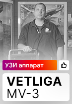 Отзыв на ветеринарный УЗИ аппарат VETLIGA MV-3 (г. Екатеринбург)
