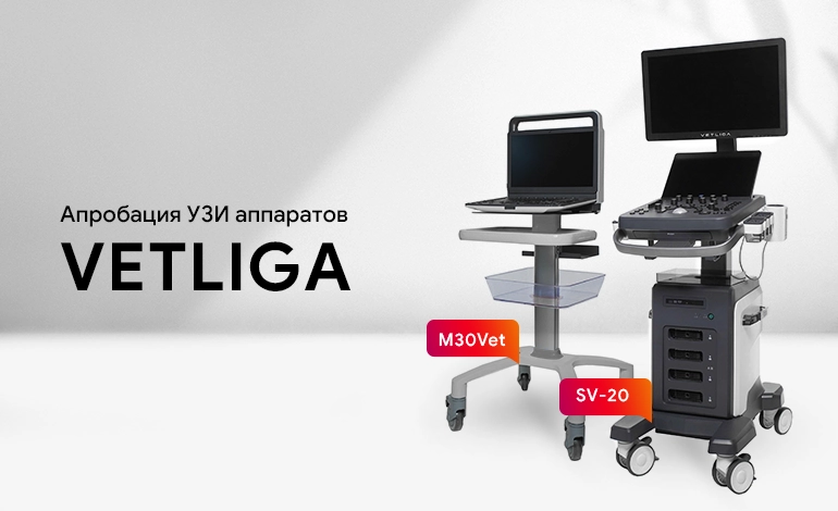 Апробация ветеринарных ультразвуковых систем VETLIGA Апробация ветеринарных ультразвуковых систем VETLIGA