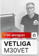 Видеоотзыв на поставку ветеринарного УЗИ аппарата VETLIGA M30Vet