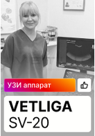 Отзыв на УЗИ аппарат VETLIGA SV-20 (п. Большое Козино)
