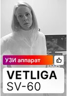 Отзыв на работу УЗ аппарата VETLIGA SV-60 при проведении биопсии почки