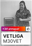 Отзыв на ветеринарный УЗ аппарат VETLIGA M30 Vet (г. Санкт-Петербург)