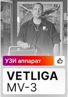 Отзыв на ветеринарный УЗИ аппарат VETLIGA MV-3 (г. Екатеринбург)