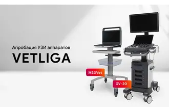 Апробация ветеринарных ультразвуковых систем VETLIGA