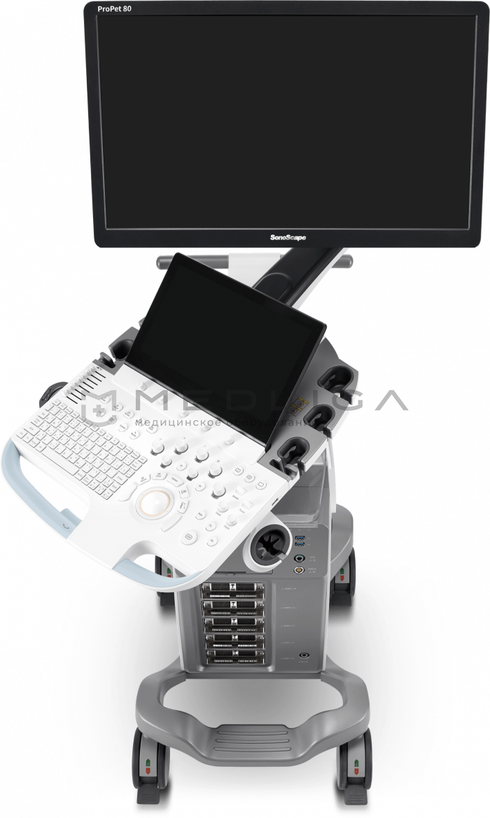 УЗИ аппарат SonoScape ProPet 80