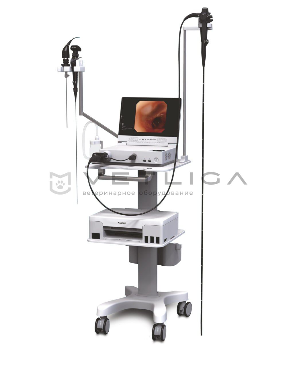 Ветеринарная видеоэндоскопическая система на базе VETLIGA Scope 1315