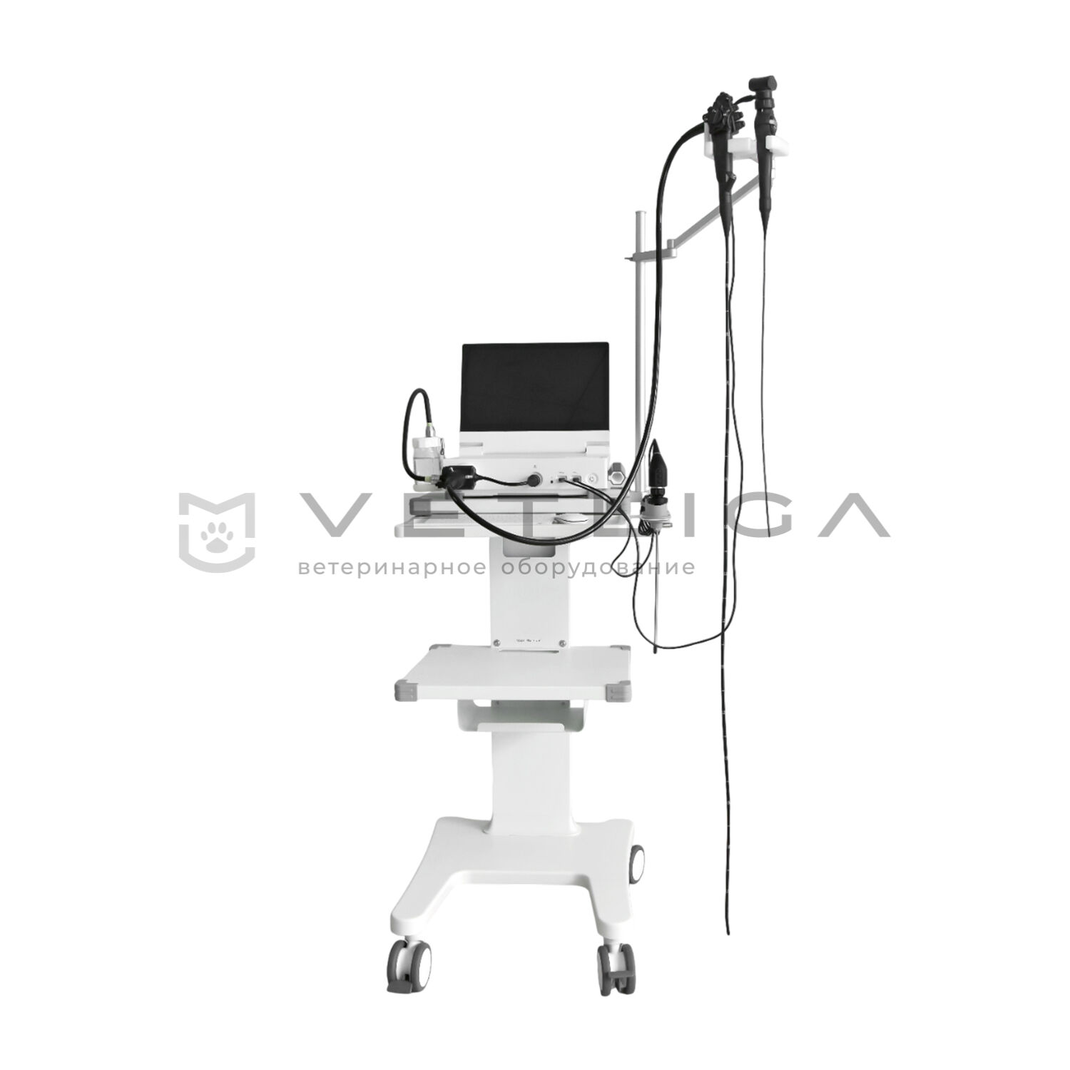Ветеринарная видеоэндоскопическая система на базе VETLIGA Scope 1315