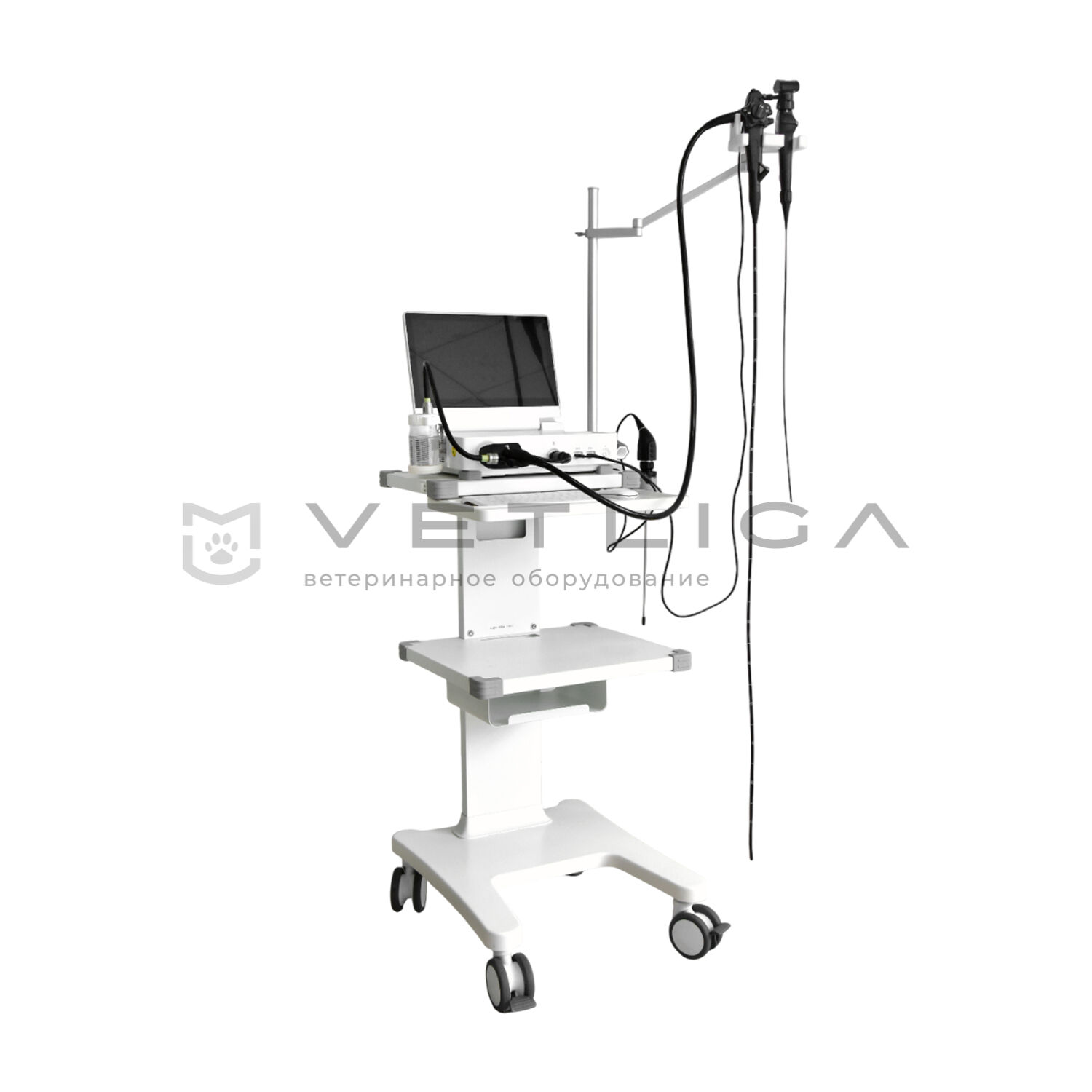 Ветеринарная видеоэндоскопическая система на базе VETLIGA Scope 1315