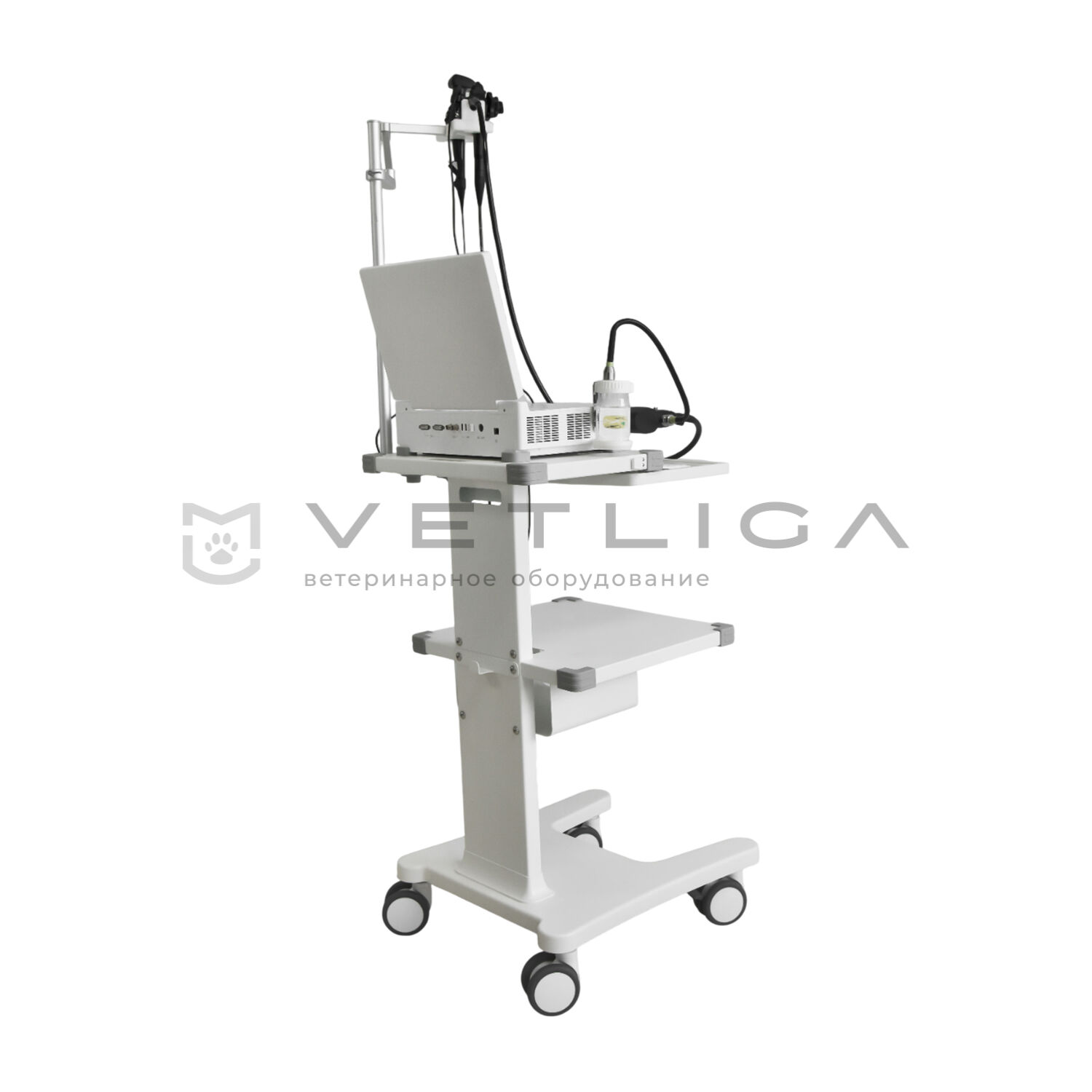 Ветеринарная видеоэндоскопическая система на базе VETLIGA Scope 1315