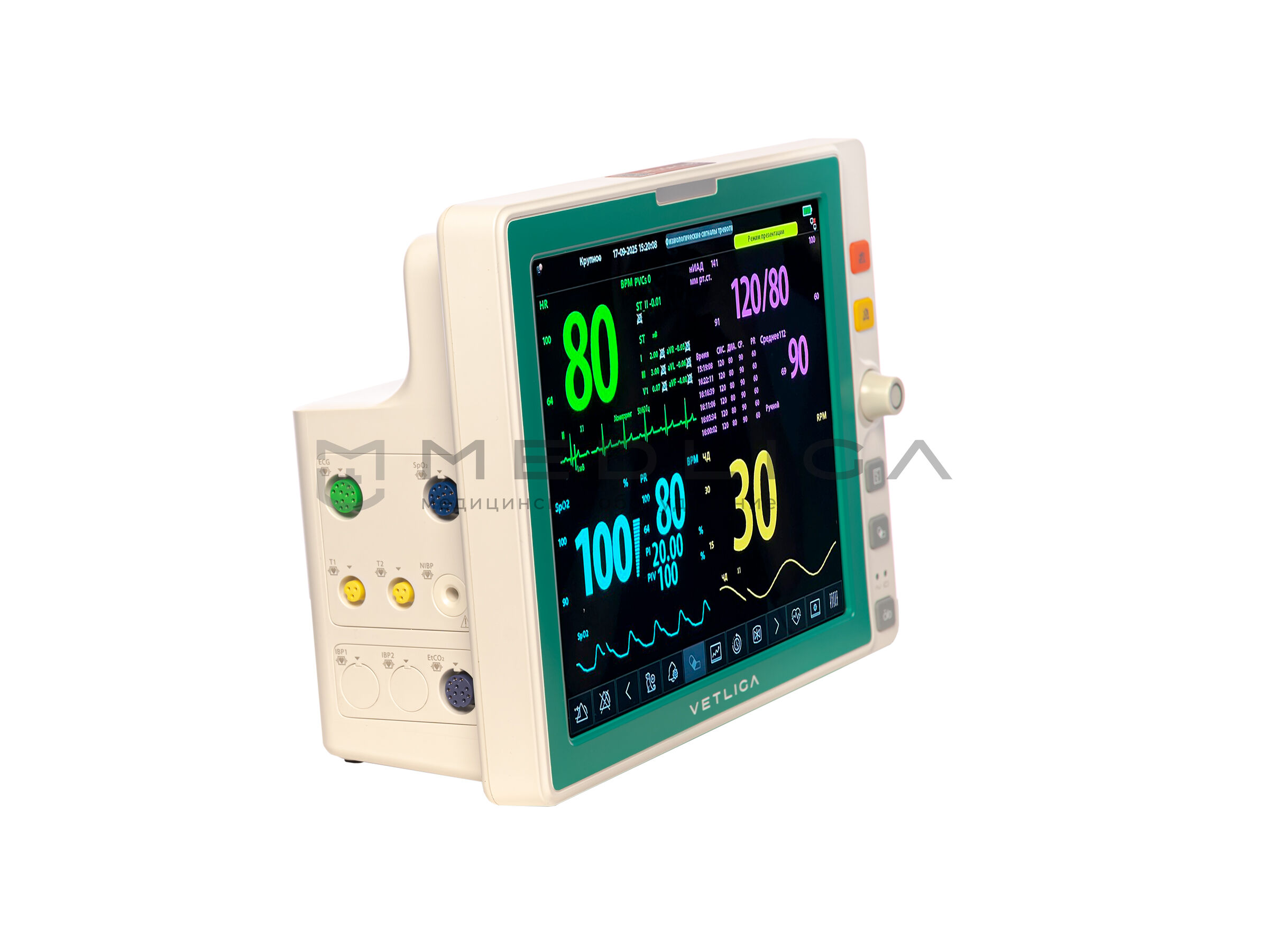 Ветеринарный монитор пациента VETLIGA L12M