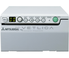 Mitsubishi Electric P95DE