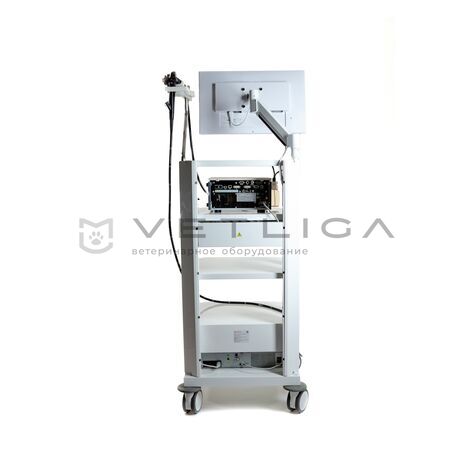 Pentax EPK‑3000 DEFINA, 8