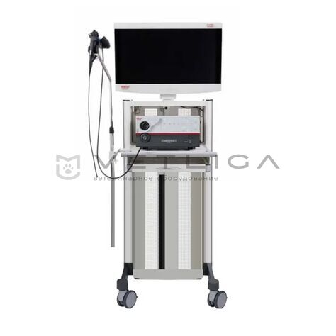 Pentax EPK‑3000 DEFINA, 2