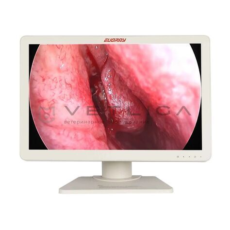 EVORAY S271P, VETLIGA EVORAY S271P