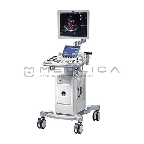 GE Healthcare Vivid T8