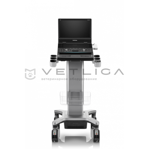 SonoScape ProPet E11, 3