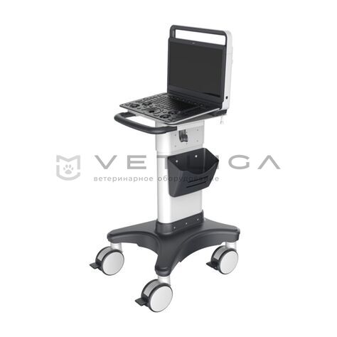 УЗИ аппарат SonoScape E3 Vet