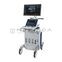 GE Healthcare Vivid S60