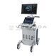 GE Healthcare Vivid S60